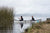 man in mycanoe solo folding boat and swans